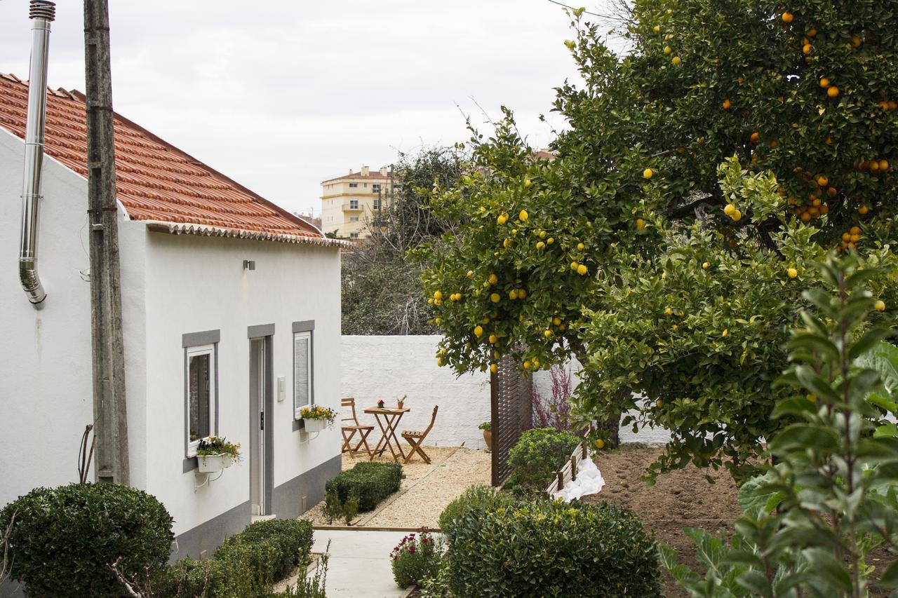 Casa Do Avo Serra Leiria Exterior photo